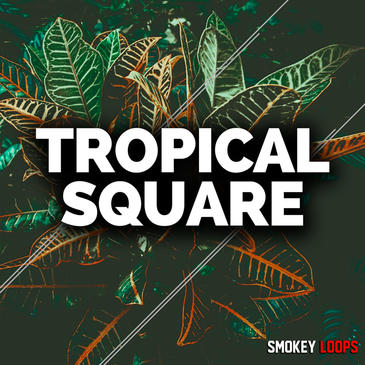 Smokey Loops – Tropical Square (MIDI, WAV)